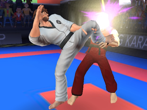 Igra Karate borec  spletu