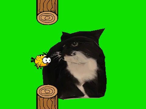 Igra Flappy Bird Spinning Oia Oia Cat spletu