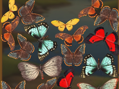 Igra Mergebuterfly: 2048! spletu