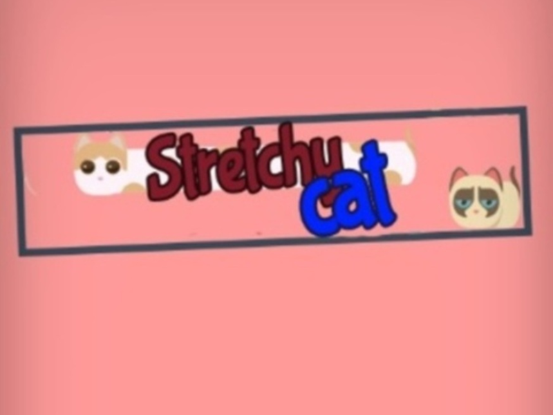 Igra Raztegljiva mačka  spletu