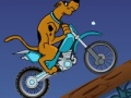 Igra Scooby Doo Trail  spletu