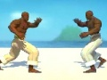 Igra Borec Capoeira  spletu