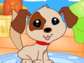 Igra Star Star Doghouse  spletu