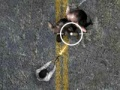 Igra Undead Highway spletu