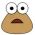 Pou na spletu